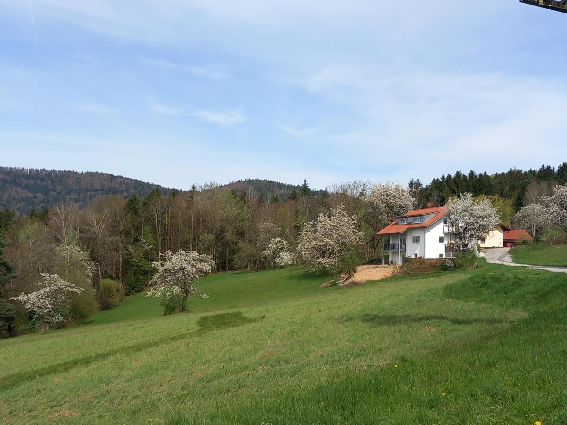 Haus Panorama Appartement Lalling